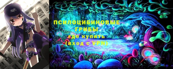 ALPHA PVP Беломорск