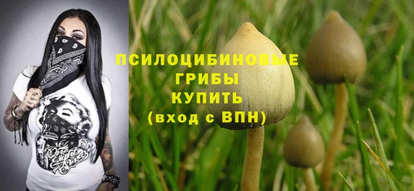 марки lsd Белокуриха